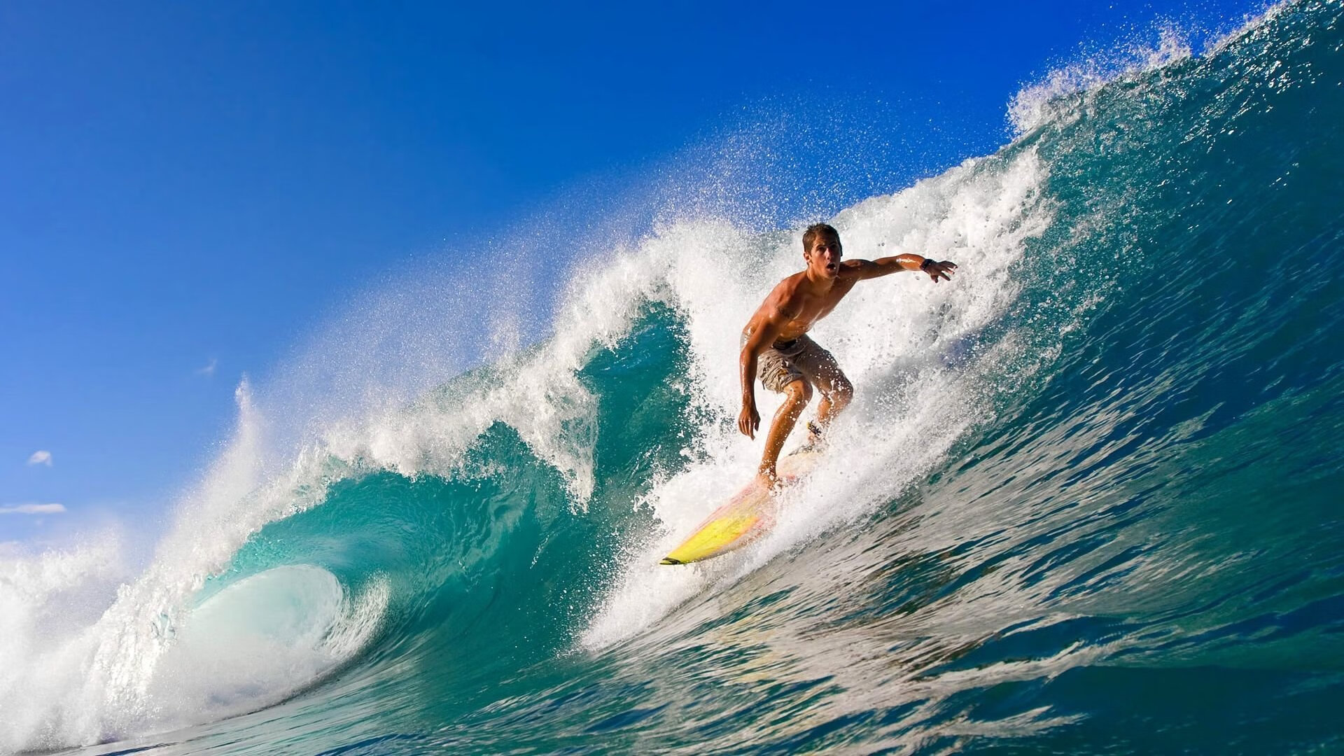 AYX SPORTS-“安赫尔·巴尔博萨的精准进攻与战术执行力，助力美洲狮队在国际舞台屡创佳绩”